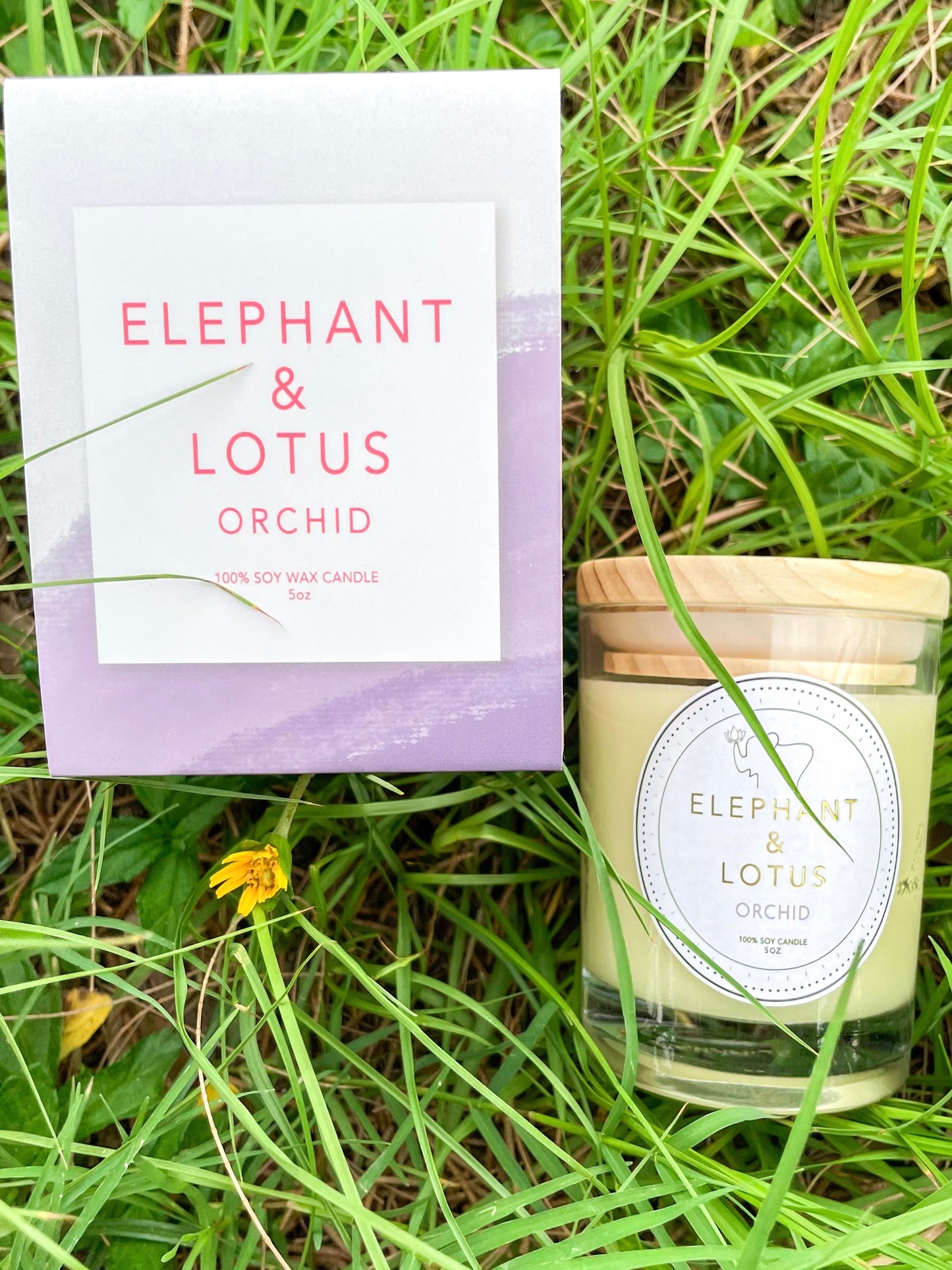 ORCHID Candle (5oz)