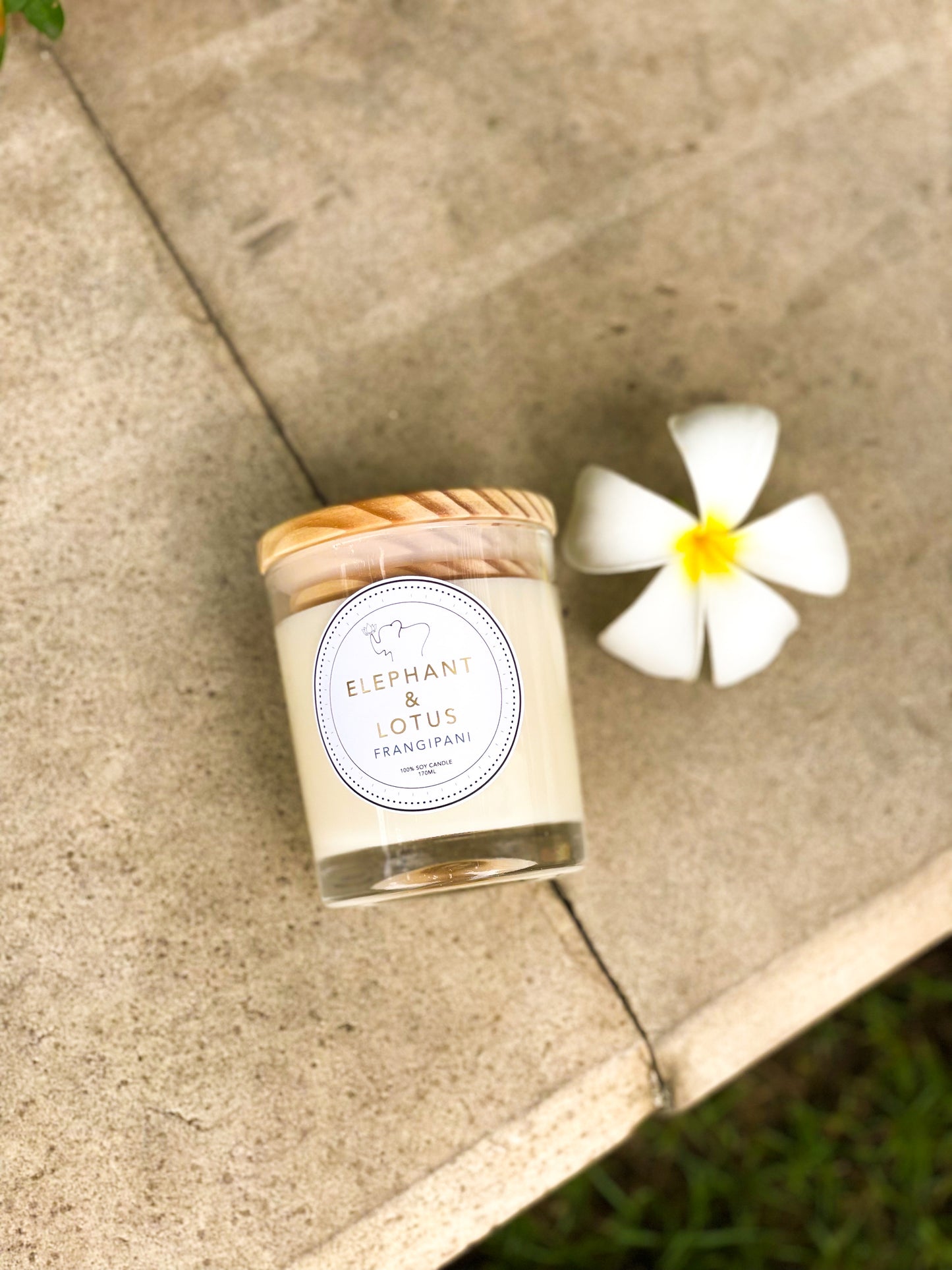 FRANGIPANI Candle (5oz)